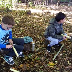 Forest schools 4